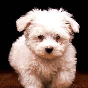 Meet your Posher, Bethany